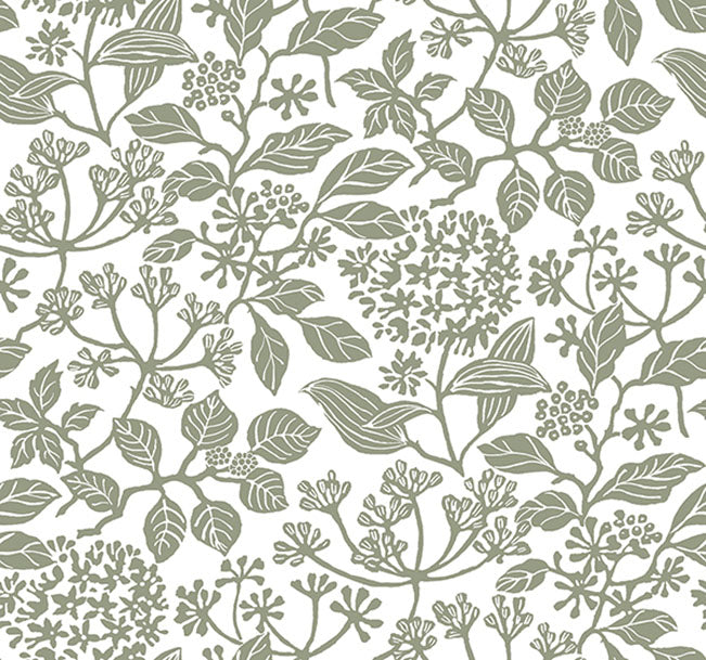 Rowen Olive Botanical Wallpaper by Antonina Vella