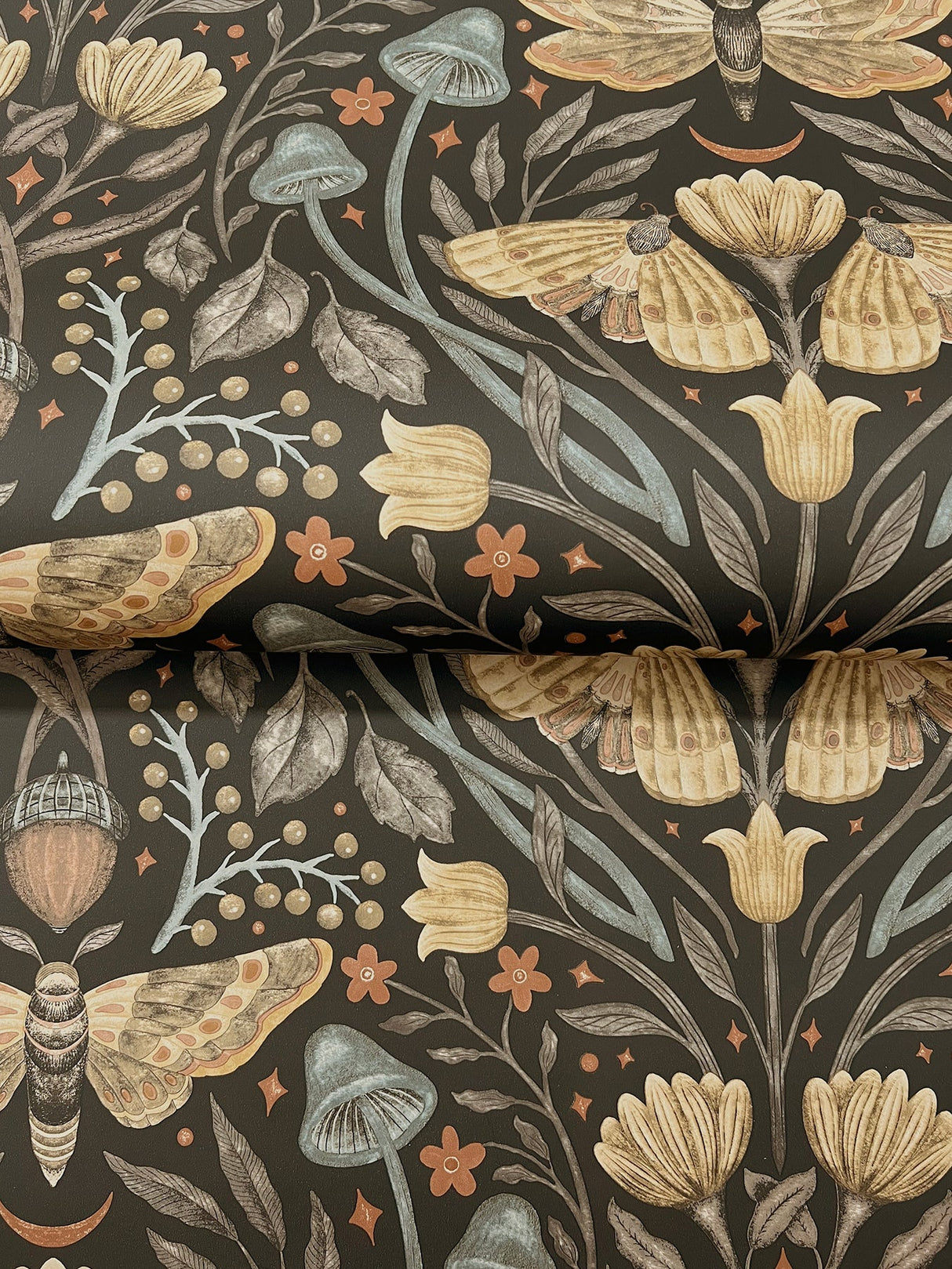 Mystic Moth Black by Chesapeake Forest Magic Wallpaper – Brewster Home Fashions 4169-83116