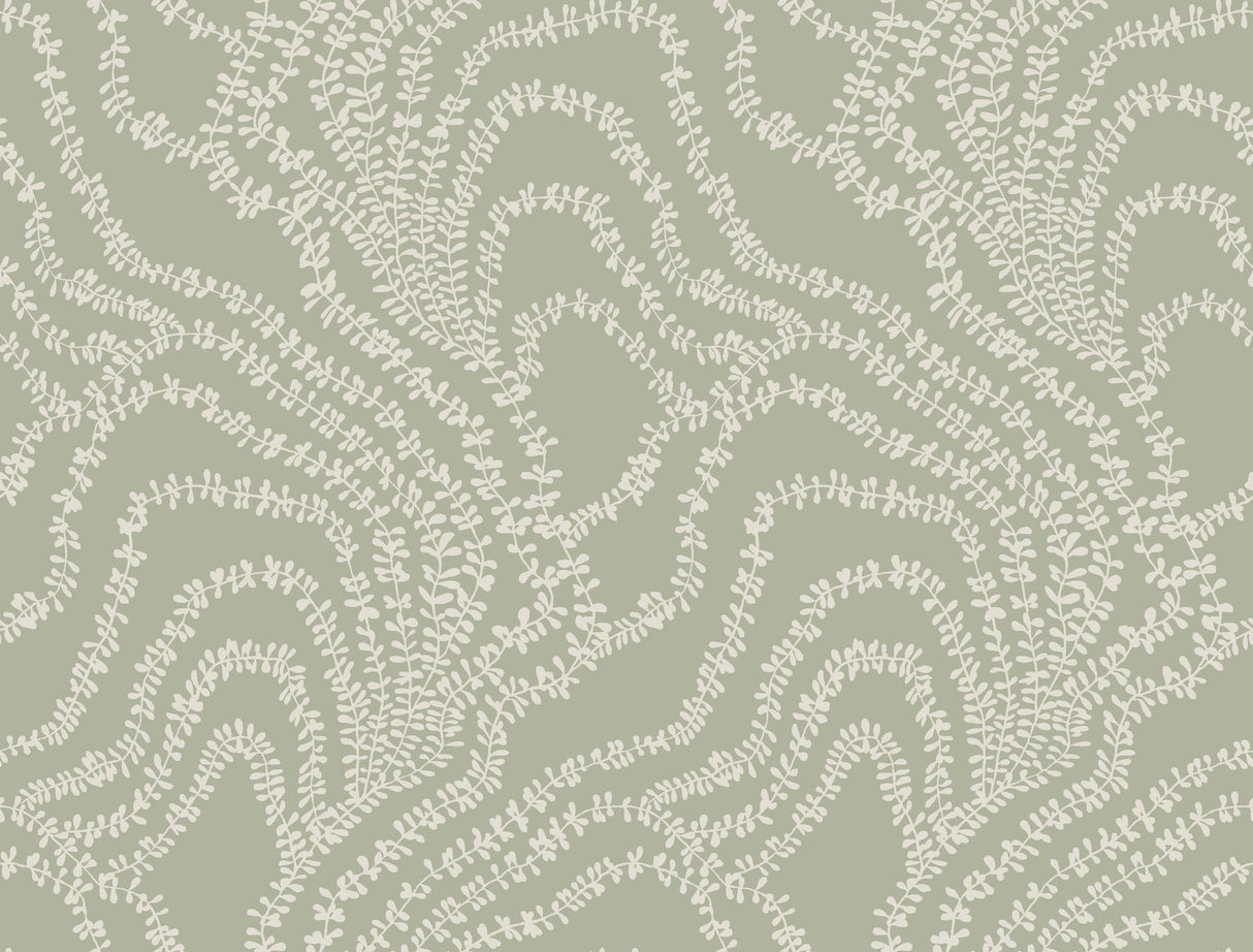 String of Pearls Sage Vine Wallpaper by Ronald Redding – VR1513