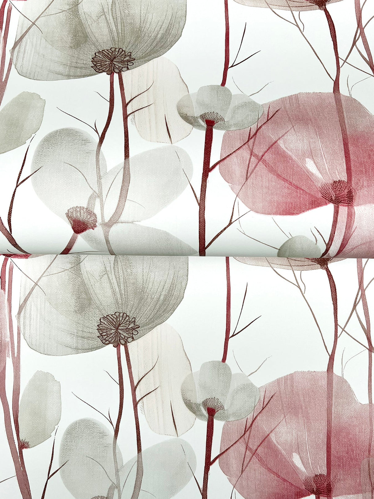 Cotswolds Poppies Red by Ronald Redding Floral Wallpaper – York Designer Series VR1536
