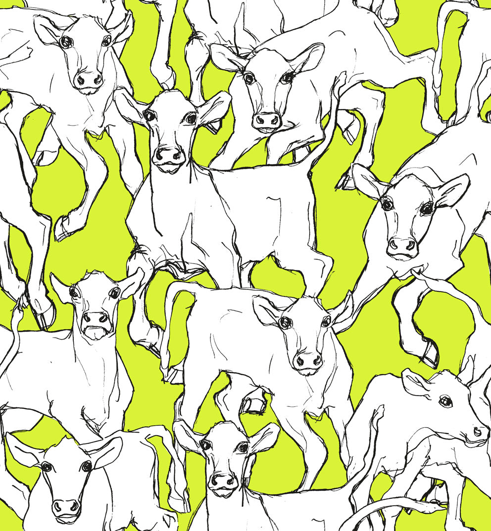 Iltavilli Lime Green and Cream by Marimekko Vol. 5 Cow Illustration Wallpaper – Marimekko 14105X-Sample