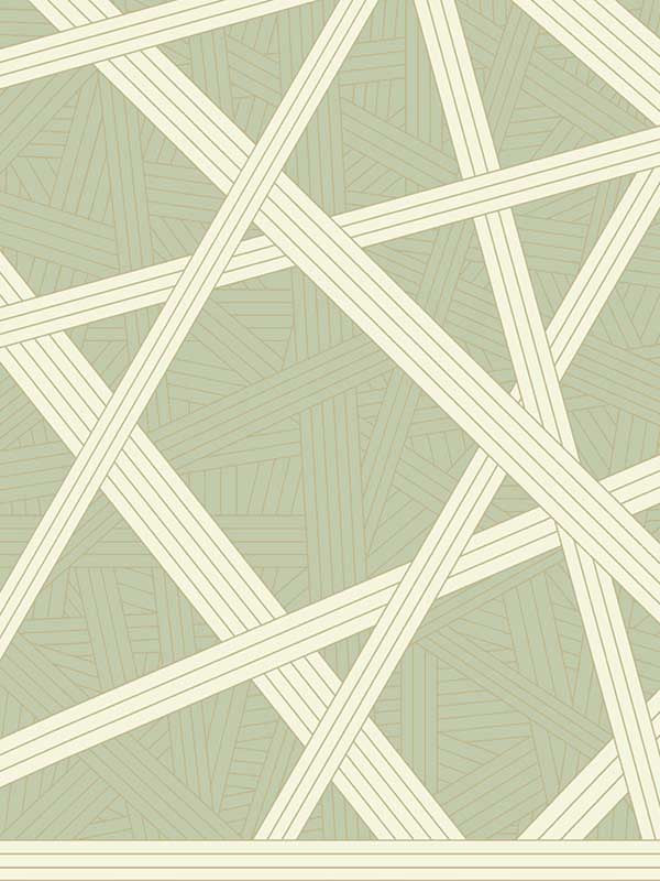 Nastri Green Wallpaper MI10563 by Missoni