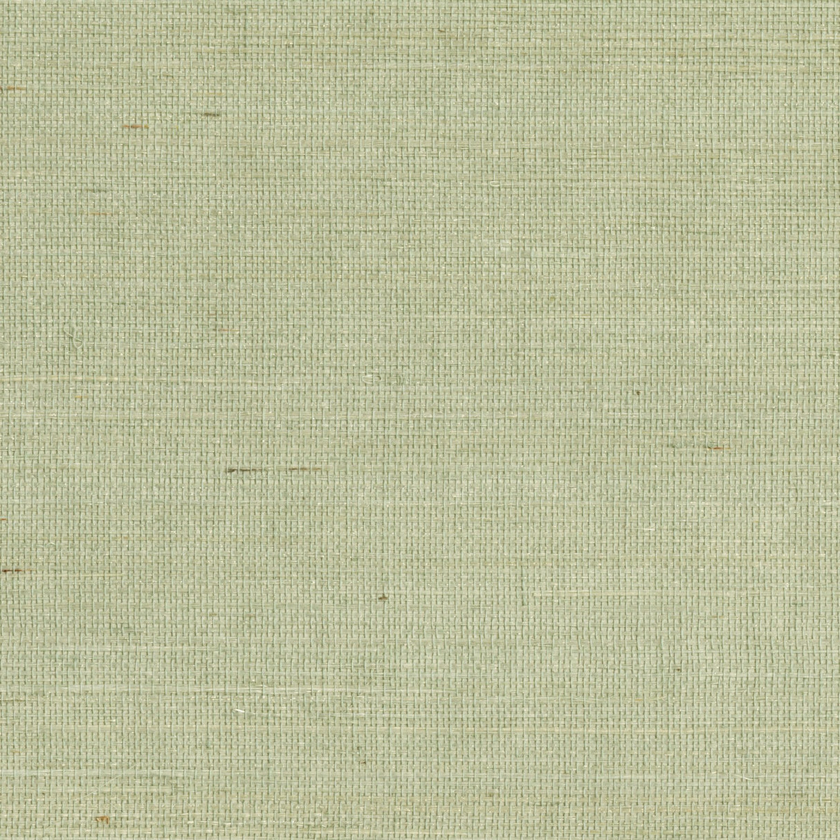Popun Light Green Sisal Grasscloth Wallpaper with Thin Weave Texture - Kenneth James 2693-65416