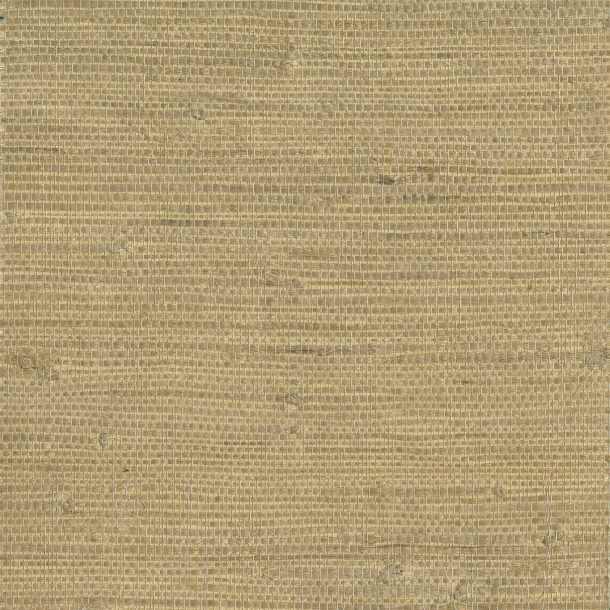 Chuso Wheat Grasscloth Wallpaper in Wheat Texture - Kenneth James 2693-65429