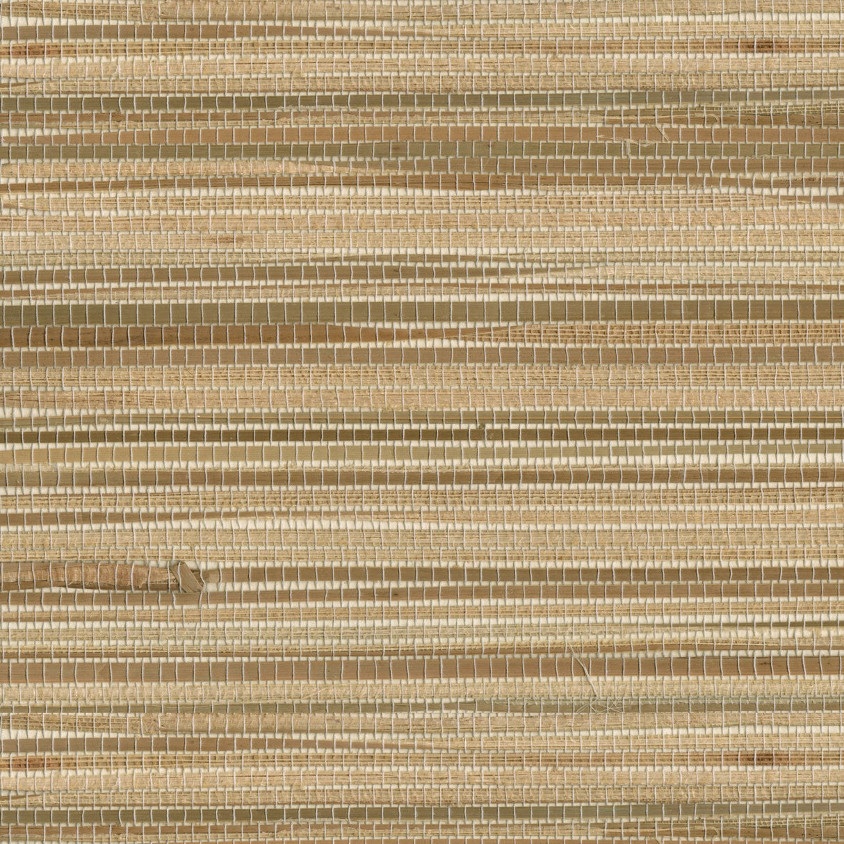 Dazo Neutral Grasscloth Wallpaper Neutral - Brewster 2693-65601