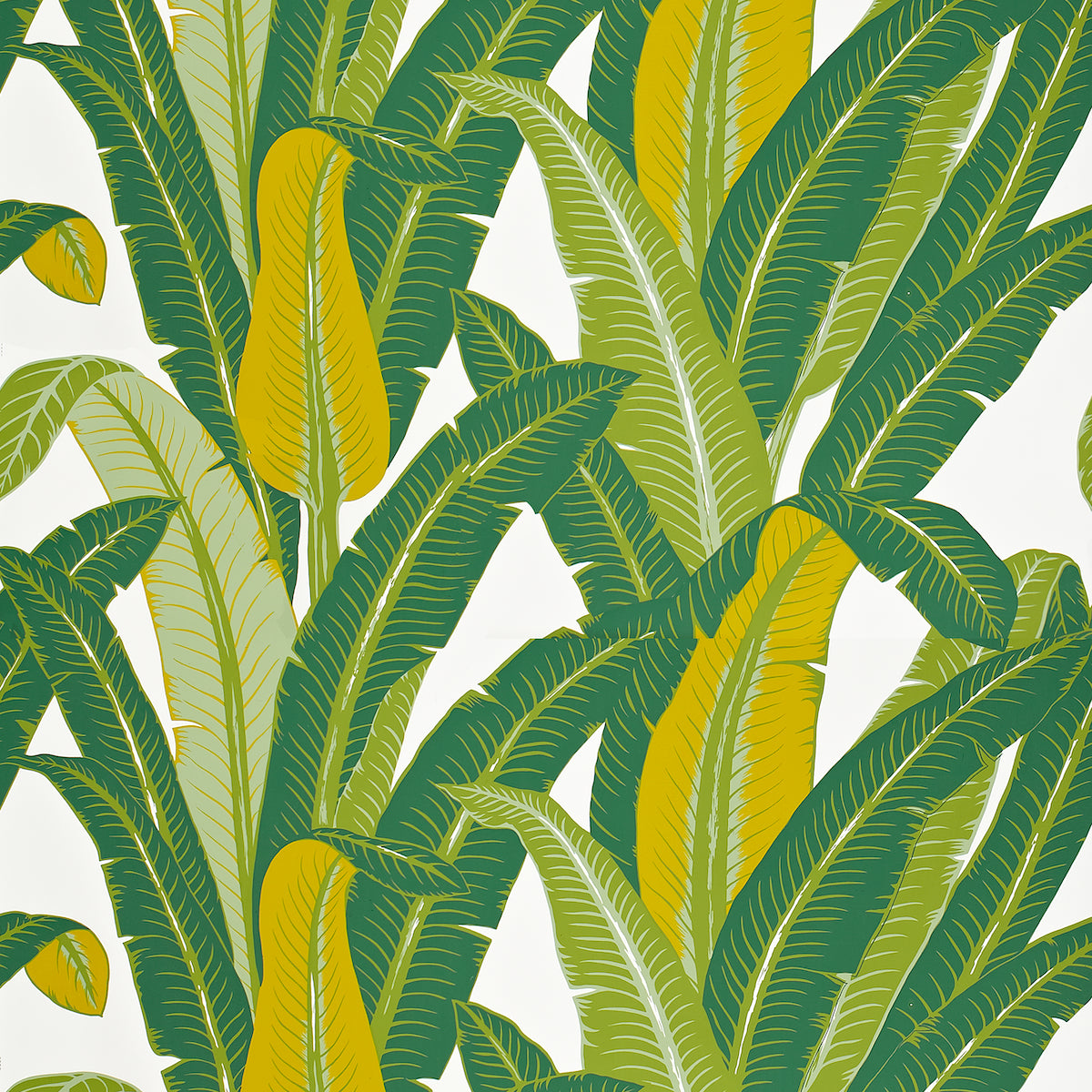 Tropical Isle green on white palm leaf wallpaper by Schumacher