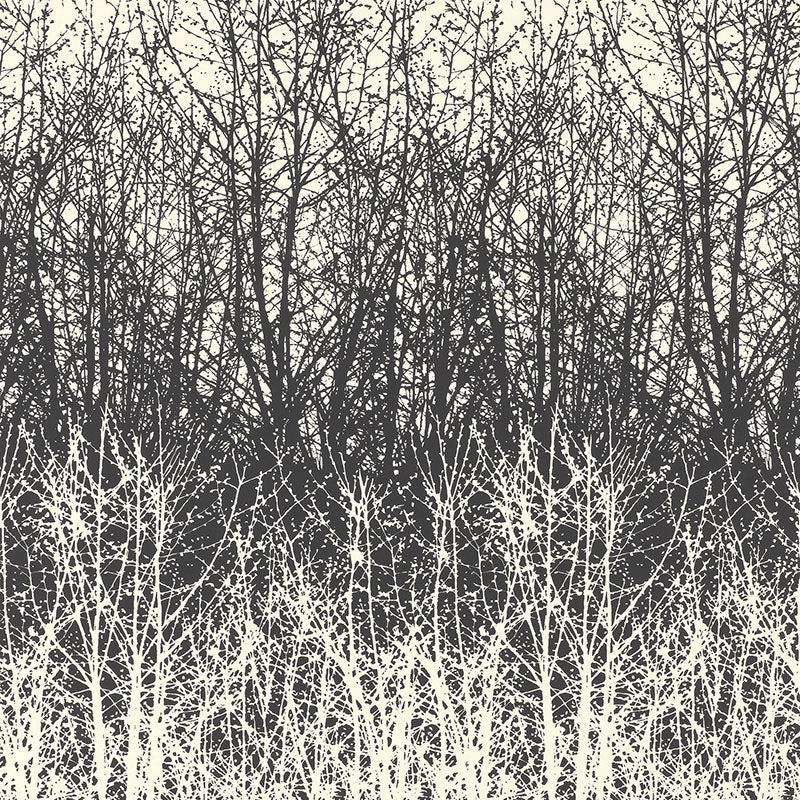 Birches wallpaper in black and white by Schumacher, featuring a hand-screened forest tree pattern.