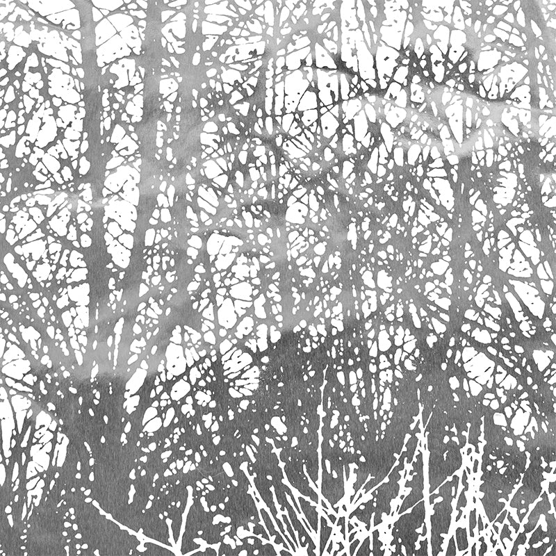 Birches Silver by Schumacher Hand-Screened Modern Nature Scenic Wallpaper – Schumacher 2707244