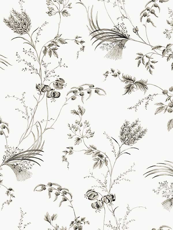 Floral Lace Black Wallpaper by Ronald Redding, pattern MX9682