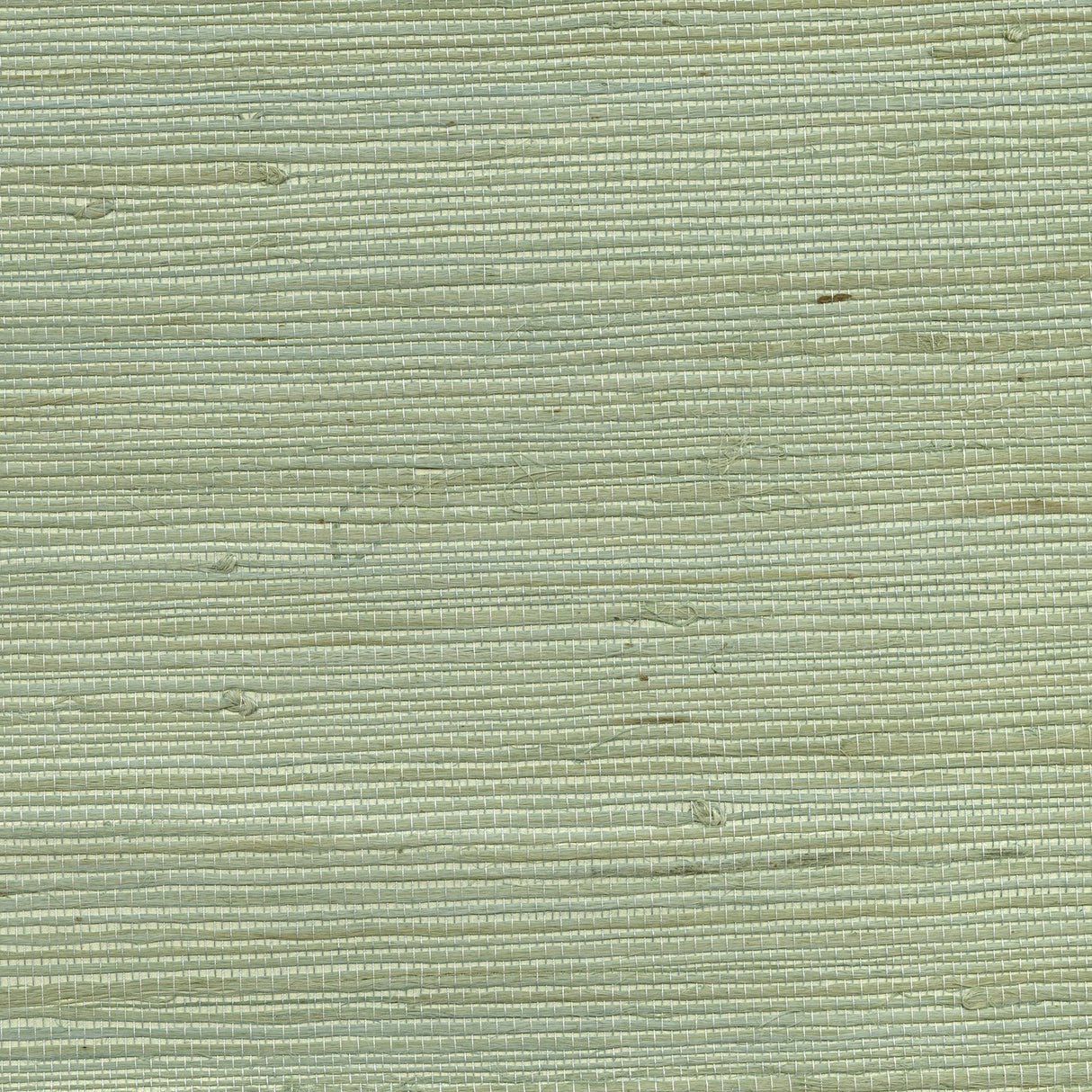 Amur Mint Grasscloth Wallpaper with Organic Textures Traditional Style - Kenneth James 2732-65609