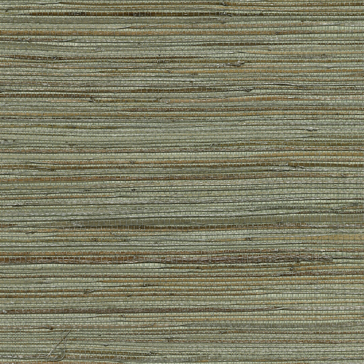 Shandong Sea Green Grasscloth Wallpaper with Ramie Grasscloth Organic Texture - Brewster 2732-80070