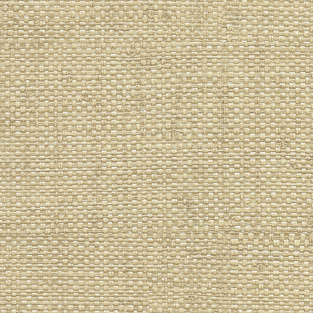 Caviar Neutral Basketweave Wallpaper