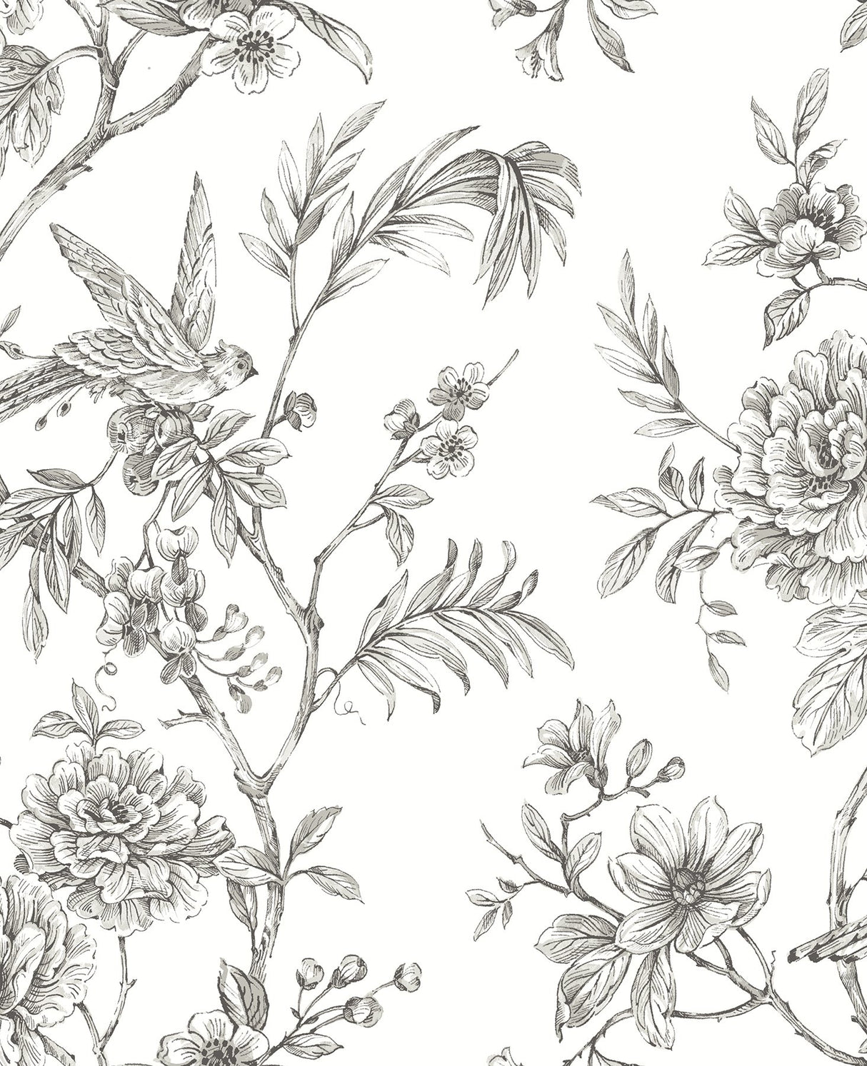 Jessamine Grey Floral Trail Wallpaper with Modern Bird and Blossom Motif - A-Street Prints 2763-24237