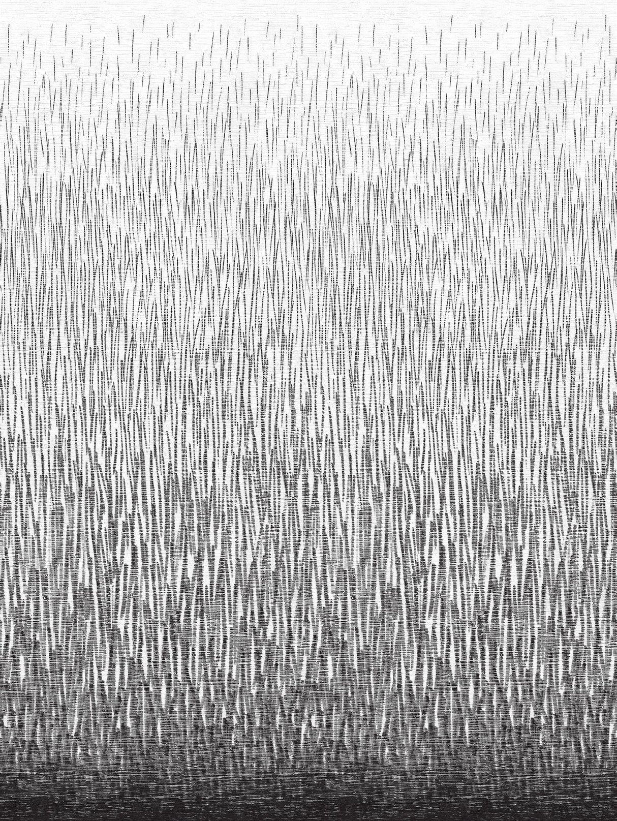 Amaya Black Abstract Graphics Non Woven Wall Mural - A-Street Prints 2764-24363
