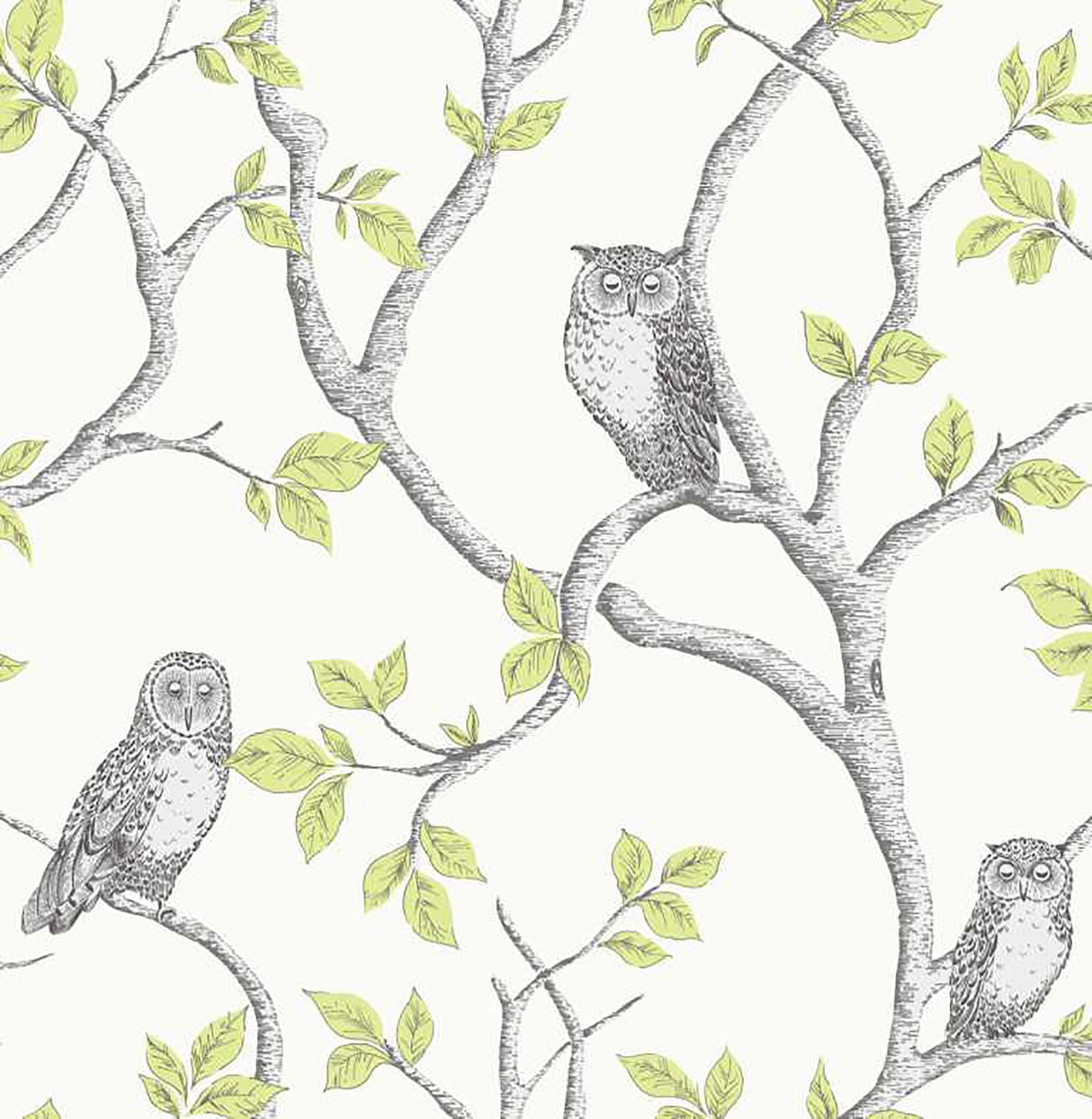Linden Green Owl Wallpaper with Trails Pattern, Kids Style - Fine Decor 2900-40637