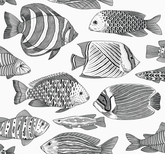 Wailea Black Tropical School Black Wallpaper with Coastal Tropical Fish Pattern - A-Street Prints 2927-80200