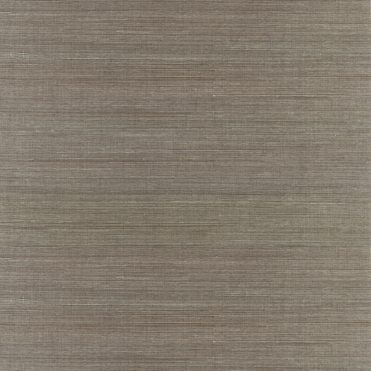 Jiao Metallic Sisal Grasscloth Wallpaper Metallic - 2972-65409