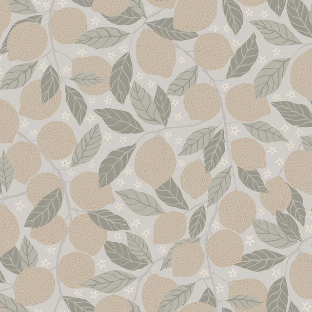 Lemona Grey Fruit Tree Wallpaper with Botanical Fruit Pattern - A-Street Prints 2999-44117