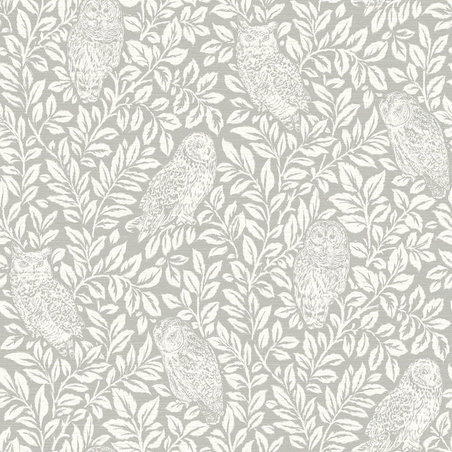 Parliament Light Grey Owl Wallpaper