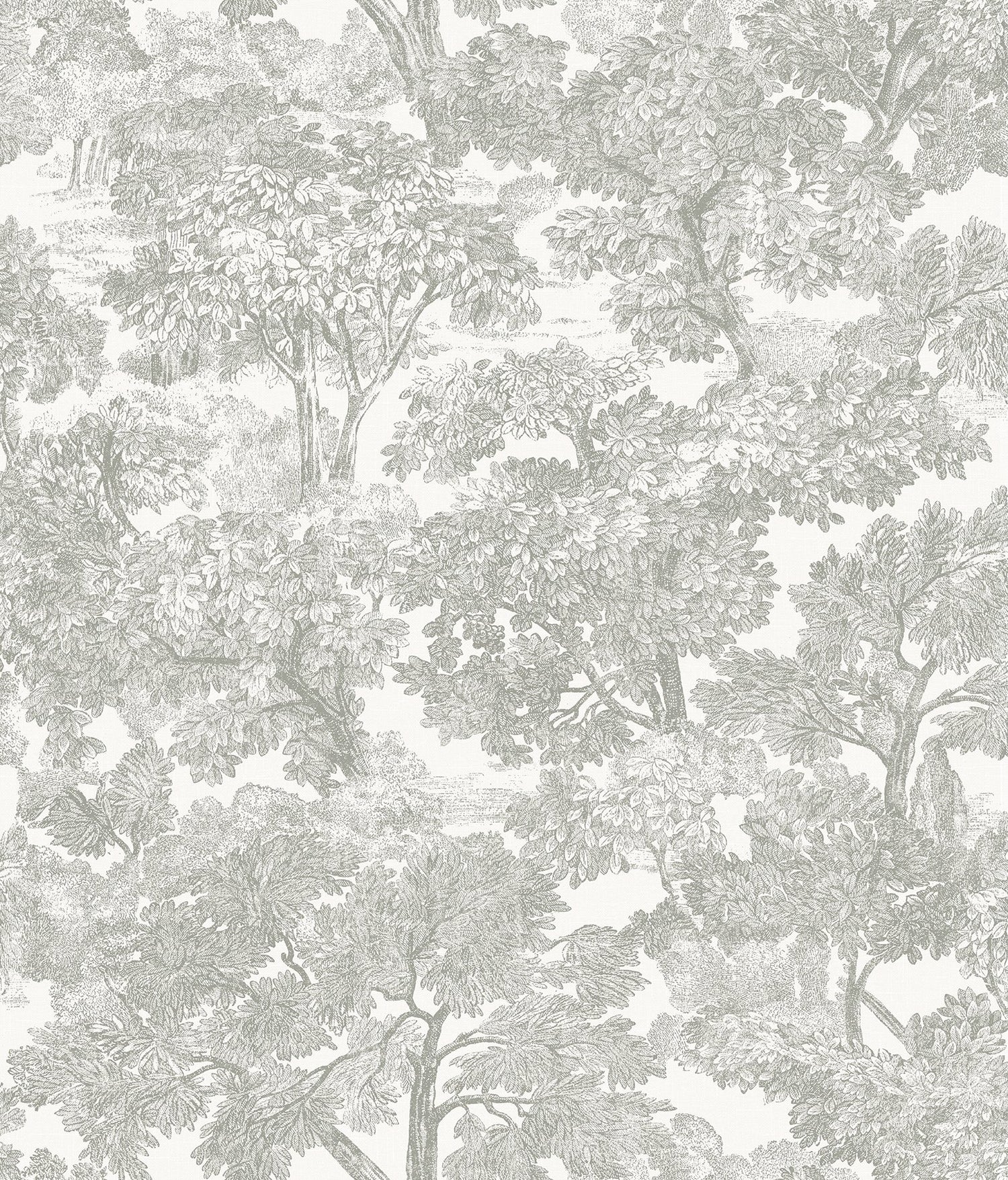 Spinney Grey Toile Wallpaper with Hand-Drawn Forest Motif, Prepasted Coated Heavyweight Paper - Chesapeake 3115-12541