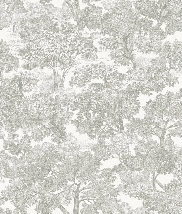 Spinney Grey Toile Wallpaper with Hand-Drawn Forest Motif, Prepasted Coated Heavyweight Paper - Chesapeake 3115-12541
