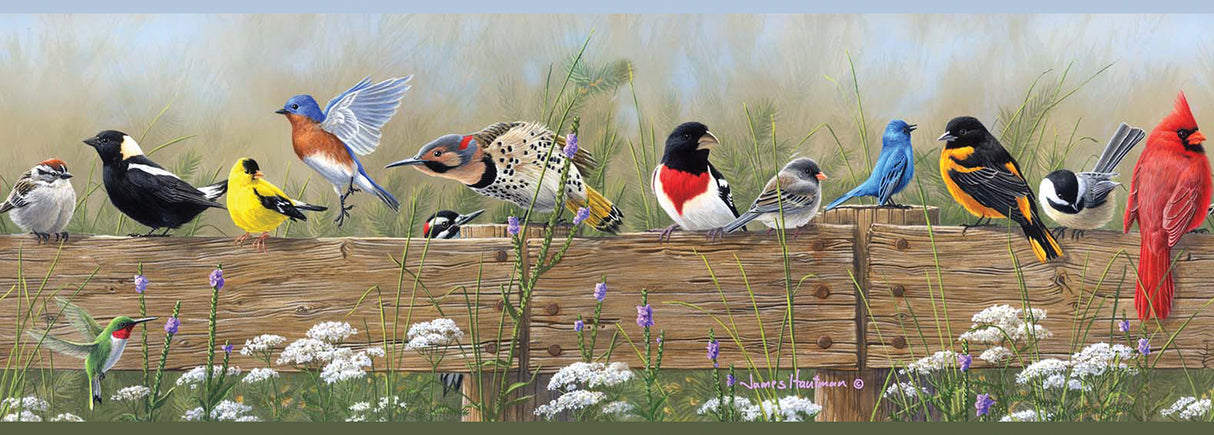 Flock Multicolor Menagerie Wallpaper Border by Chesapeake featuring colorful woodland birds perched on a rustic wooden fence surrounded by wildflowers