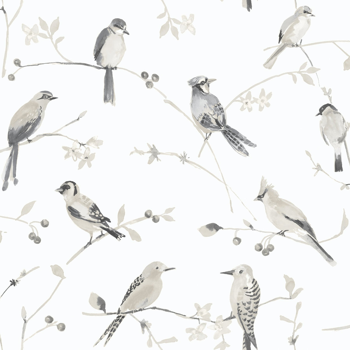 Birdsong Grey Trail Wallpaper with Watercolor Birds Botanical - Chesapeake 3124-13853