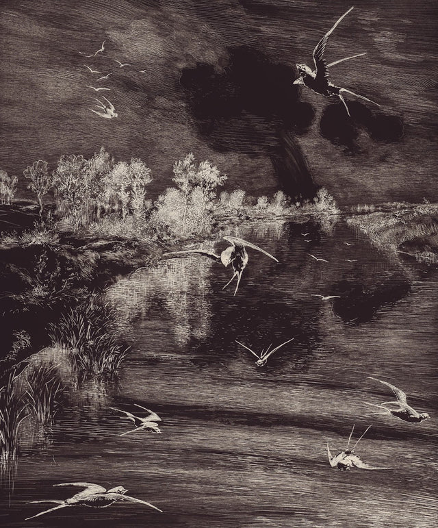 Hirundo Black Scenic Nature Wall Mural with Monochrome Birds over Lagoon - Eijffinger EJ366100