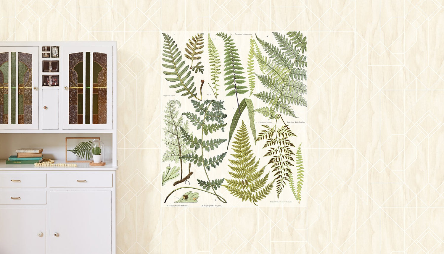 Athyrium Natural Botanical Vintage Graphic Wall Mural - Eijffinger EJ366102