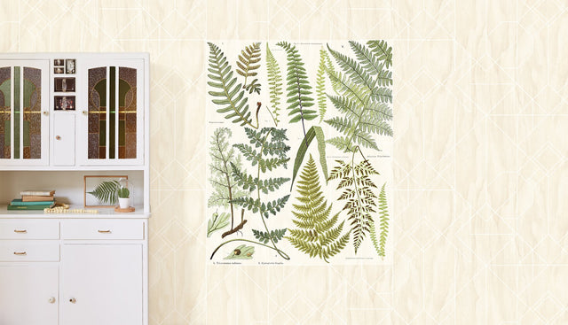 Athyrium Natural Botanical Vintage Graphic Wall Mural - Eijffinger EJ366102