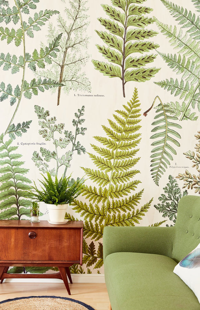 Herbarium Green Wall Mural with Vintage Botanical Nature Motif - Eijffinger EJ366104