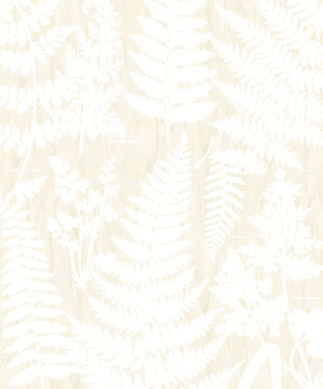 Herbarium White Wall Mural with Botanical Fern Motif - Eijffinger EJ366106
