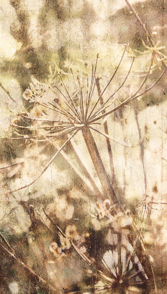 Acanthus Nature Wall Mural