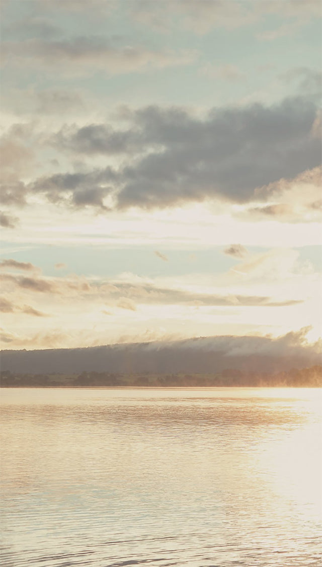 From Dusk To Dawn Pastel Scenic Nature Wall Mural - Eijffinger EJ379103