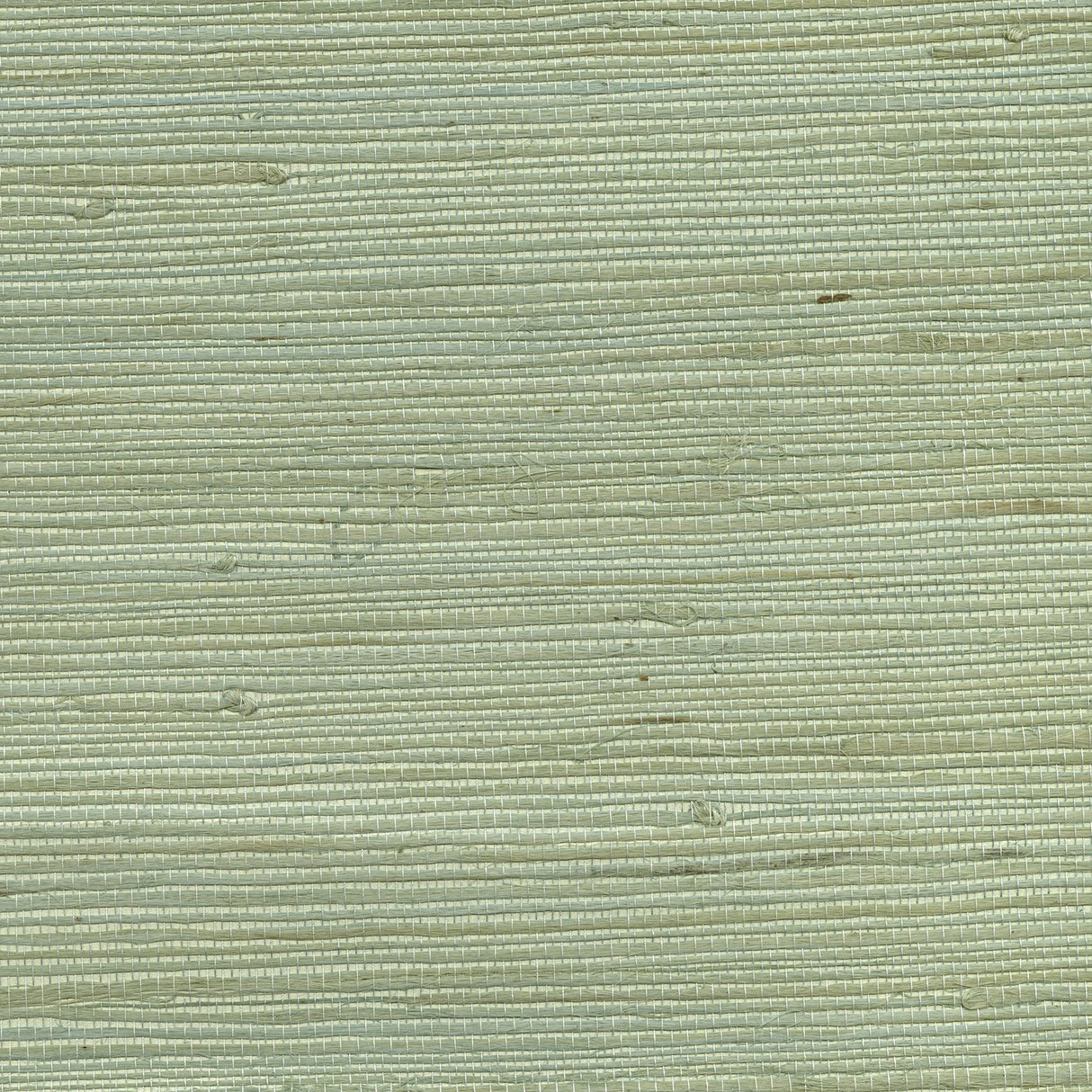 Battan Soft Green Grasscloth Wallpaper with Organic Textures - Advantage 4018-0008