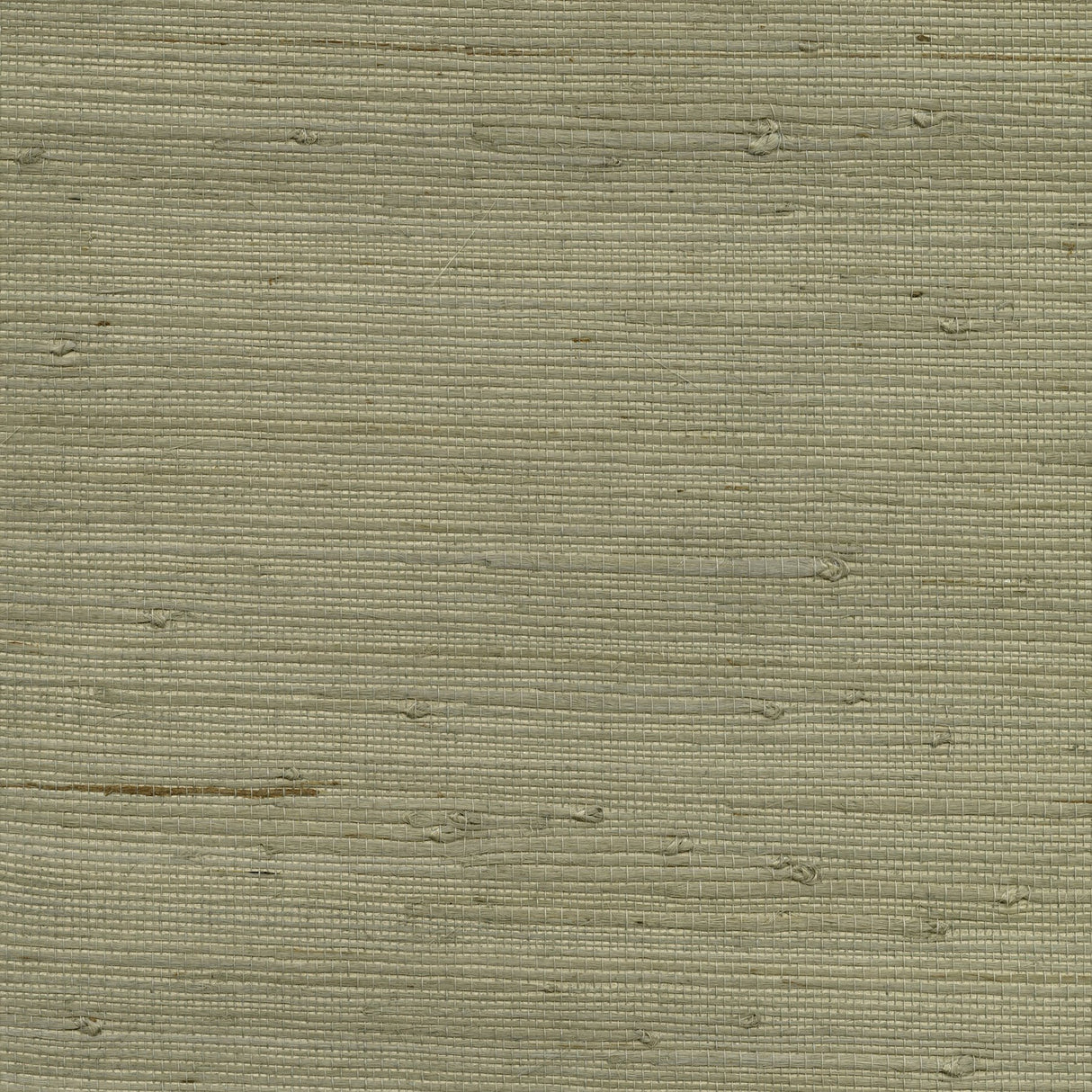 Battan Taupe Grasscloth Wallpaper with Organic Textures in Traditional Style - Advantage 4018-0015