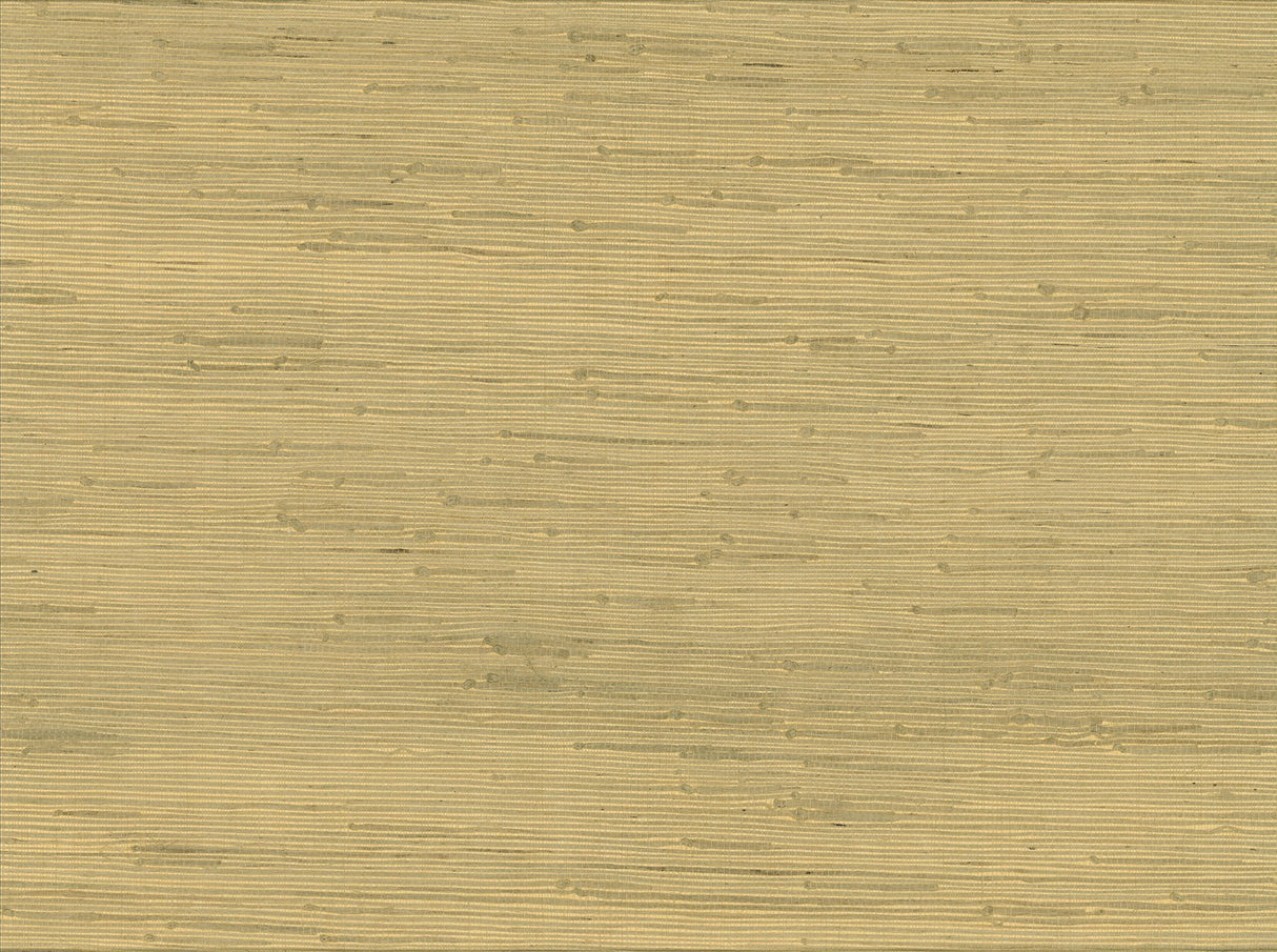 Shan Light Green Grasscloth Wallpaper with Textured Grasscloth Pattern, Traditional Style - Advantage 4018-0021