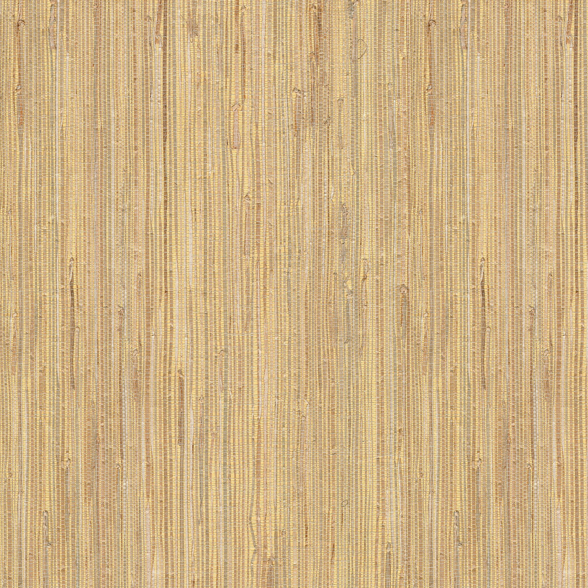 Daria Beige Grasscloth Wallpaper with Natural Textured Weave - Advantage 4018-0036