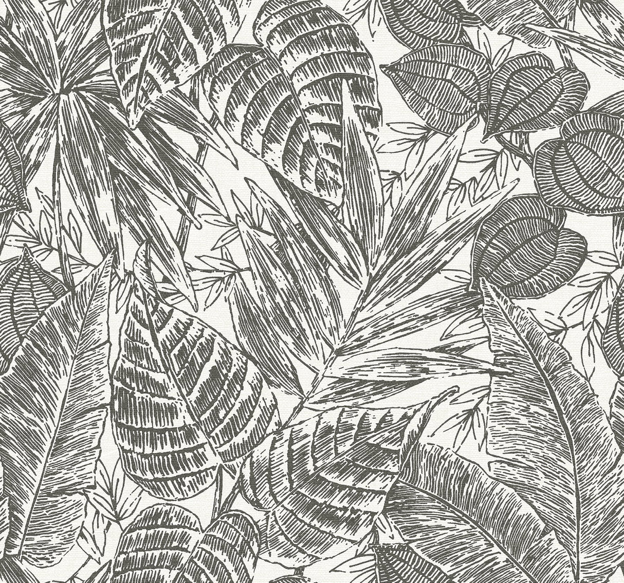 Brentwood Black Palm Leaves Wallpaper with Textured Paper Weave Grasscloth - Brewster 4034-72115
