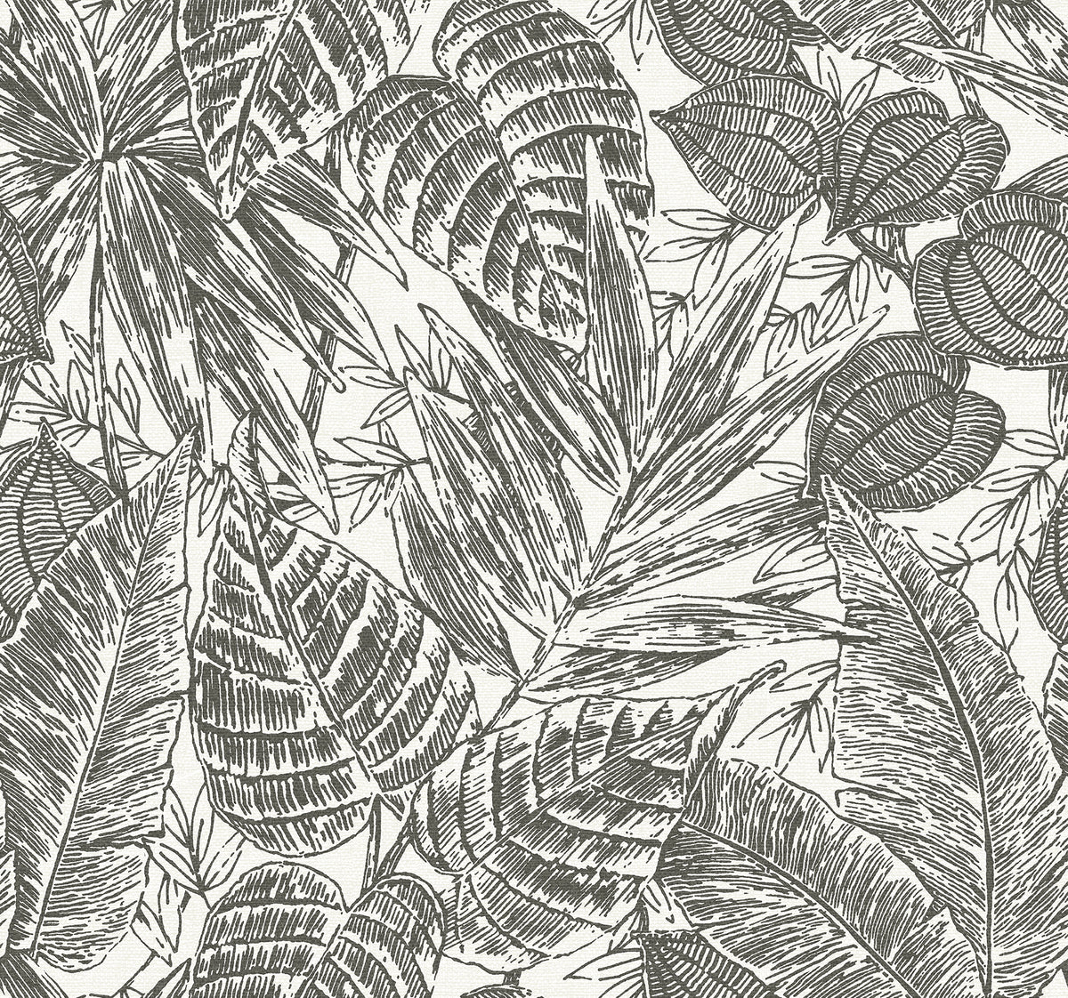 Brentwood Black Palm Leaves Wallpaper by A-Street Prints featuring tropical palm leaf design in black on white paper weave texture - YK72115