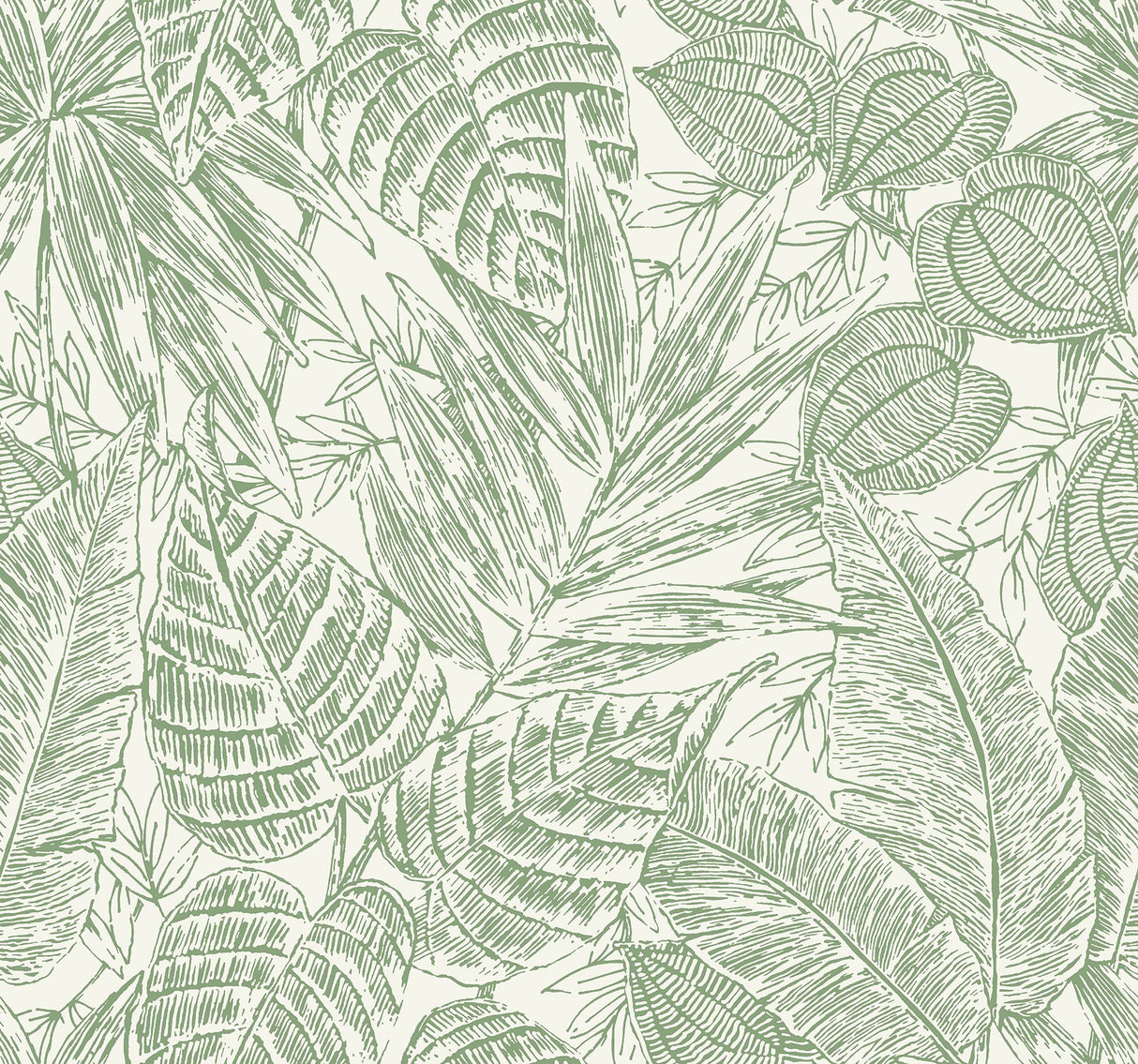 Brentwood Green Palm Leaves Wallpaper with Textured Paper Weave Grasscloth - A-Street Prints 4034-72116
