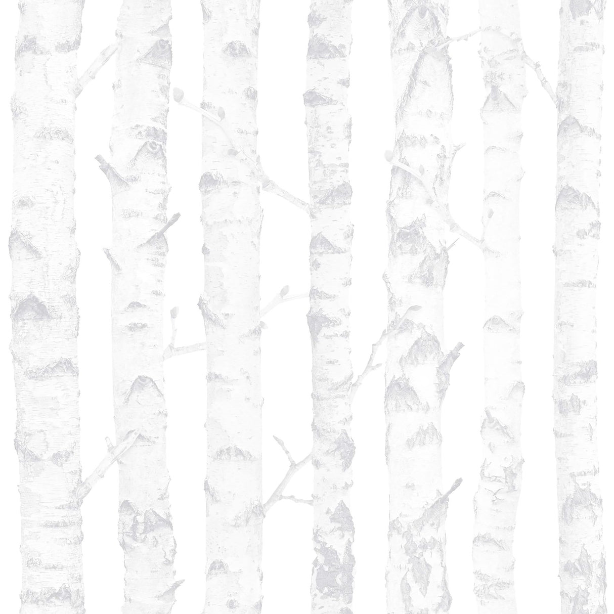 Birdie Grey Birch Wallpaper with Trees Kids Non Woven Unpasted - Chesapeake 4060-138944