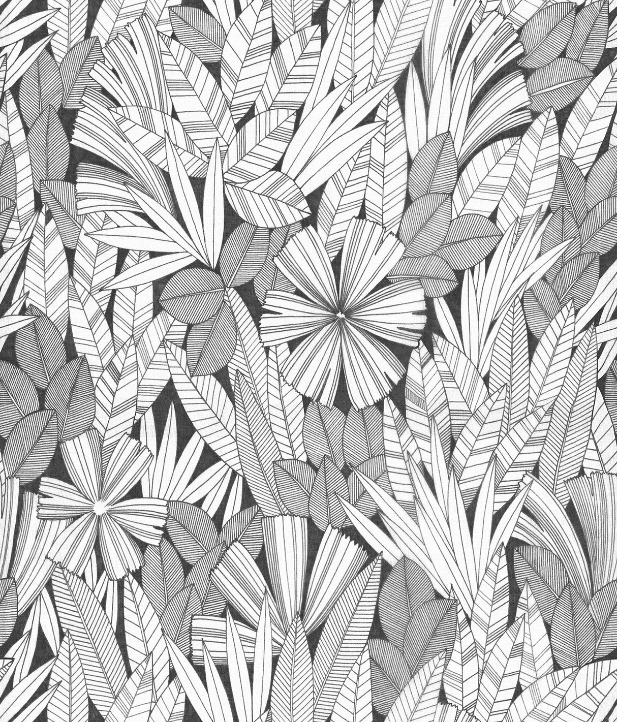Bannon Black Leaves Wallpaper with Botanical Bohemian Motif - A-Street Prints 4081-26346