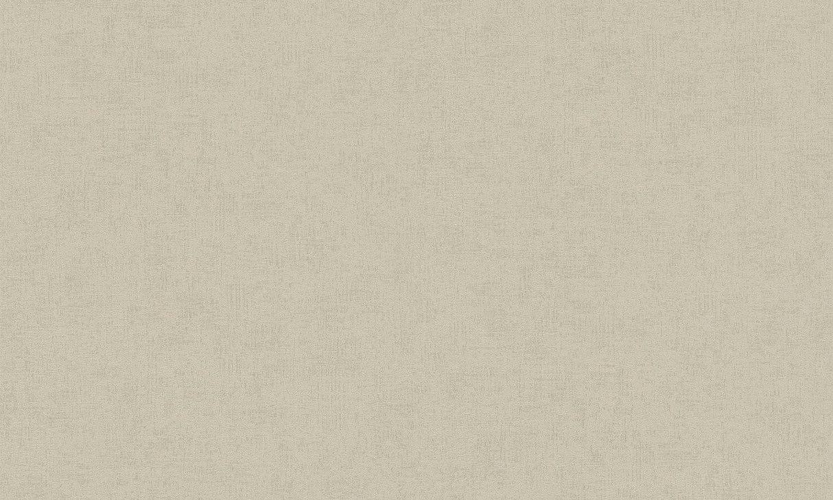 Steno Light Brown Plaster Wallpaper with Distressed Textures, Transitional Style - Advantage 4082-381971