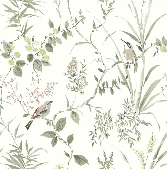 Imperial Garden Moss Botanical Wallpaper with Birds Motif - Chesapeake 4134-26992