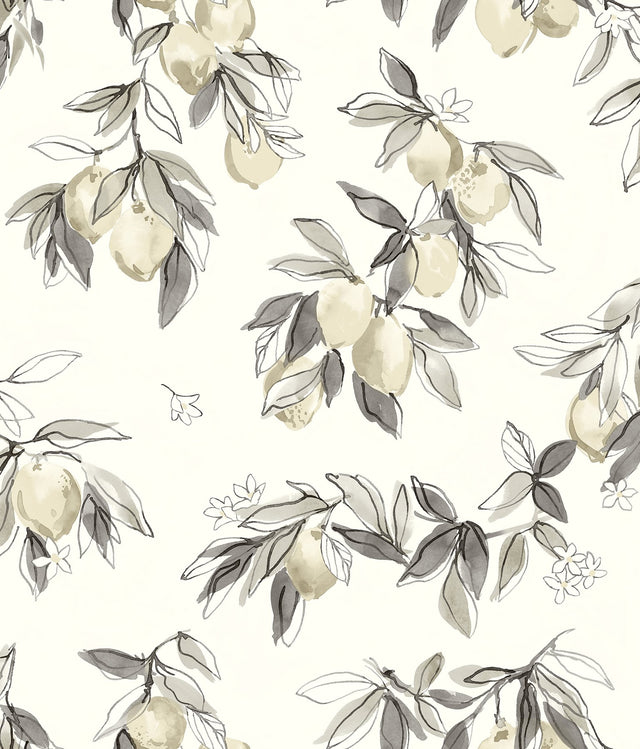 Lemonade Charcoal Citrus Wallpaper with Farmhouse Fruit Botanical Pattern - Chesapeake 4134-72509