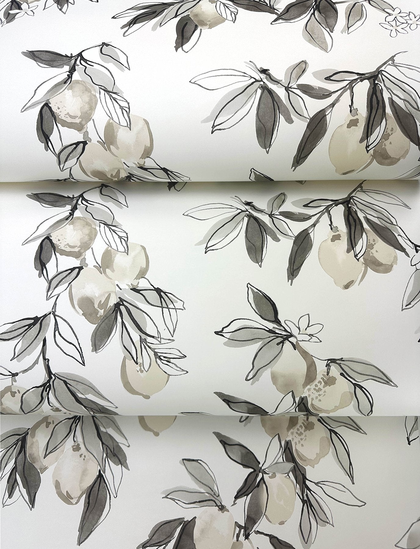 Lemonade Charcoal Citrus Wallpaper with Farmhouse Fruit Botanical Pattern - Chesapeake 4134-72509