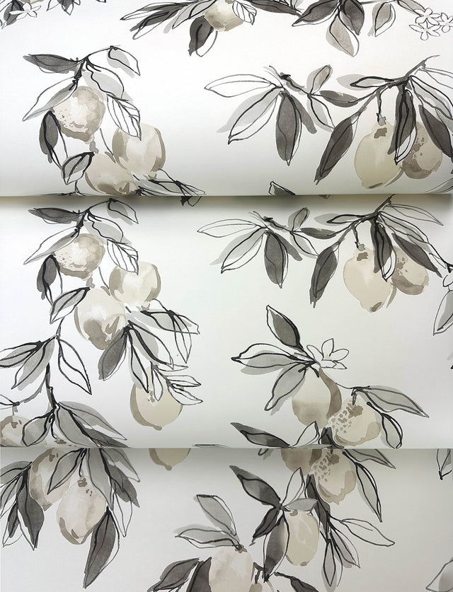 Lemonade Charcoal Citrus Wallpaper with Farmhouse Fruit Botanical Pattern - Chesapeake 4134-72509