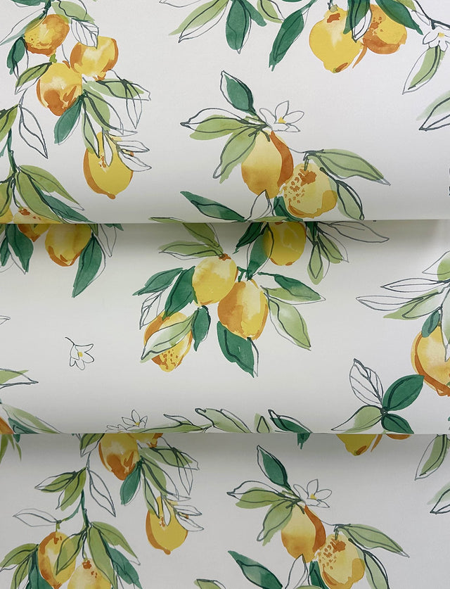 Lemonade Yellow Citrus Wallpaper with Farmhouse Fruit Botanical Motif - Chesapeake 4134-72510