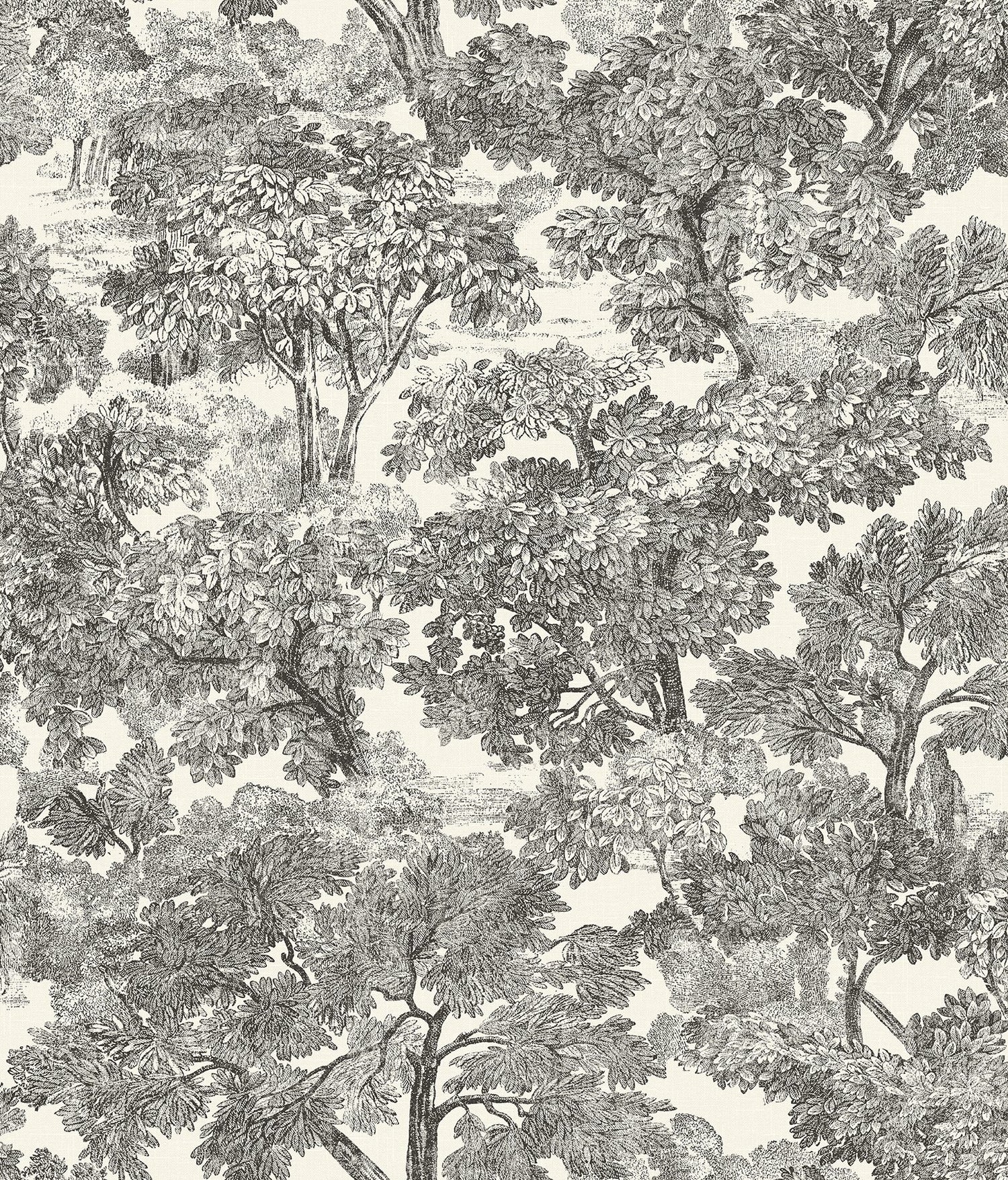 Spinney Black Toile Wallpaper with Botanical Trees Motif - Chesapeake 4134-72558